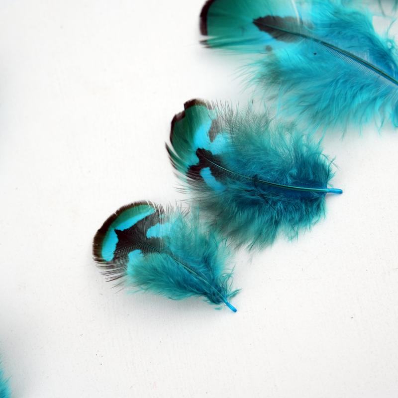 Natural DIY Pheasant Feathers  - Wedding Supply Bulk 리뷰 및 가격