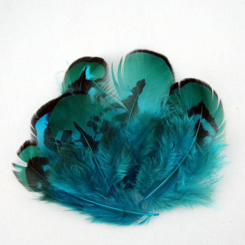 Natural DIY Pheasant Feathers  - Wedding Supply Bulk 리뷰 및 가격