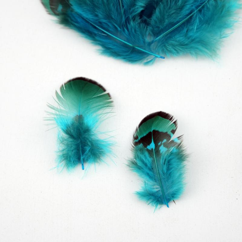 Natural DIY Pheasant Feathers  - Wedding Supply Bulk 리뷰 및 가격