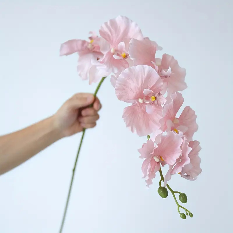 Long Branch Butterfly Orchids  - Wedding Arch Flower 리뷰 및 가격