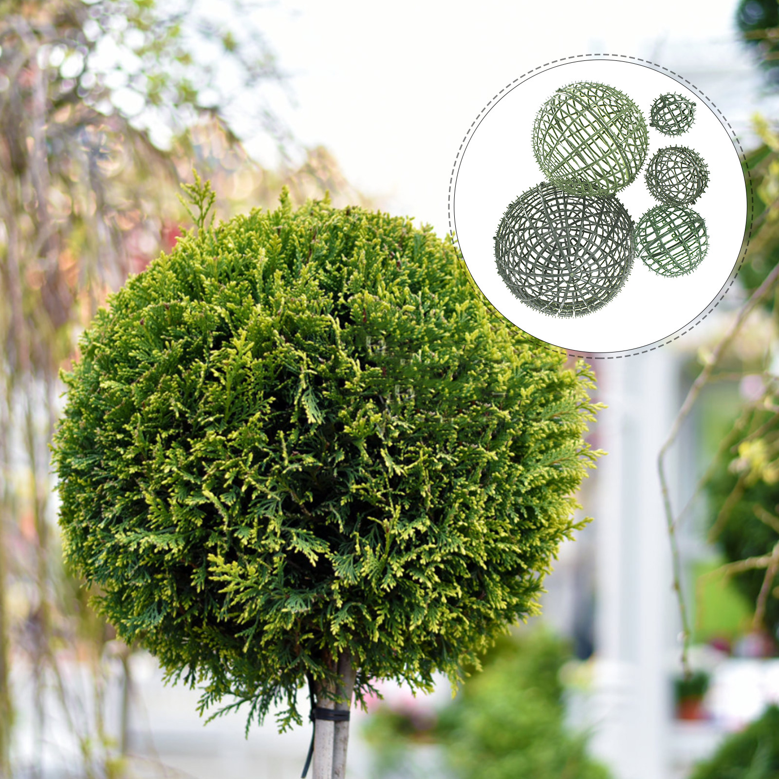 5Pcs Flower Holding Rack Grass - Wedding Support 리뷰 및 가격