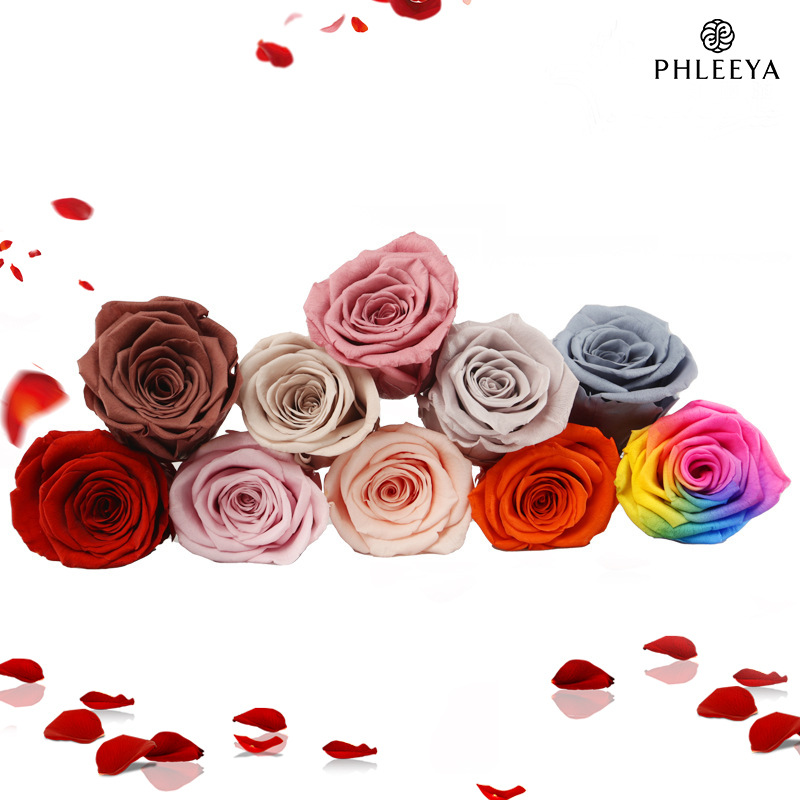 6pcs Eternal Rose Flower Heads - Wedding Supply Bulk 리뷰 및 가격