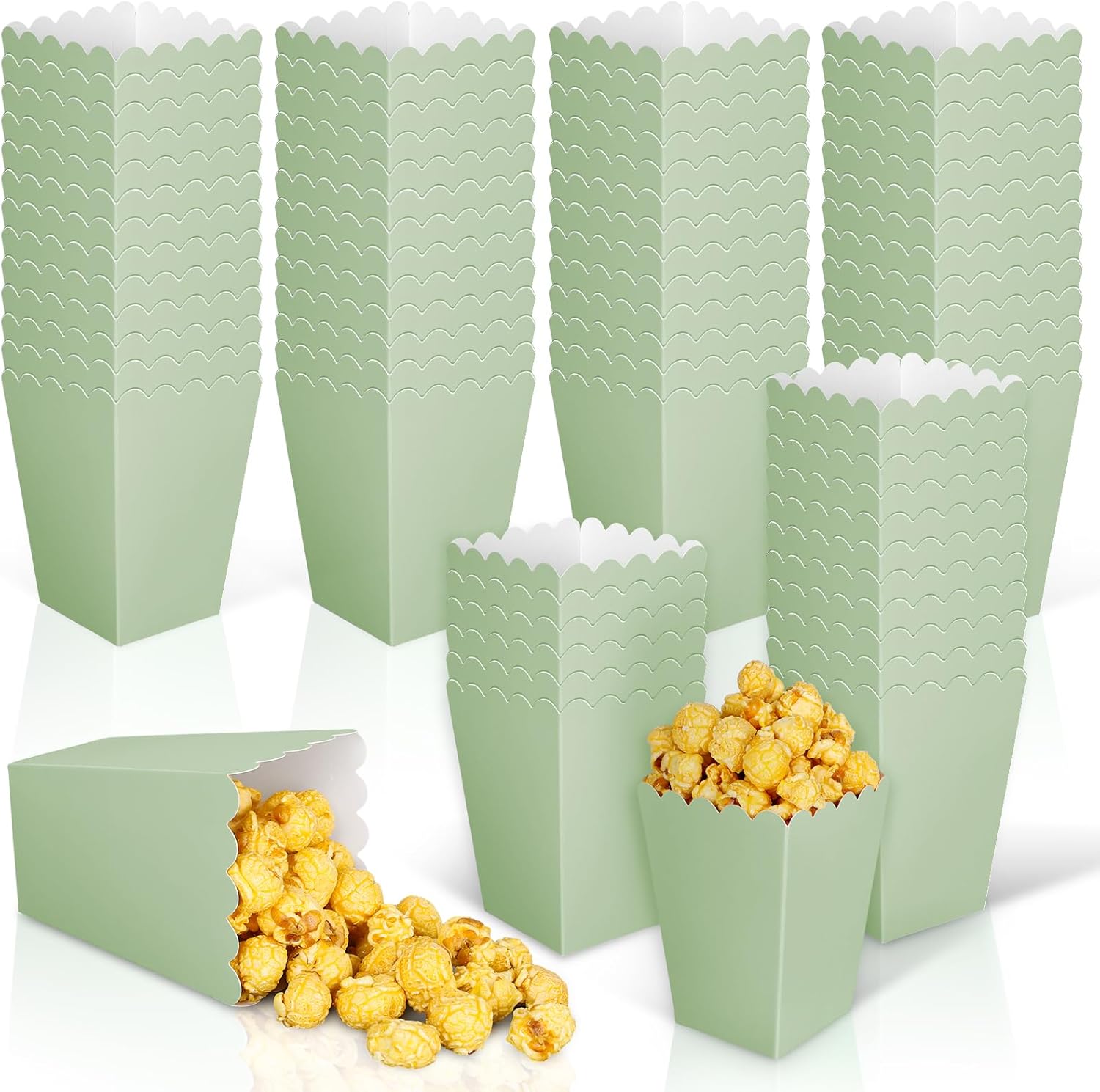12 pcs  Sage Green Mini Popcor - Wedding Supply.Box 리뷰 및 가격