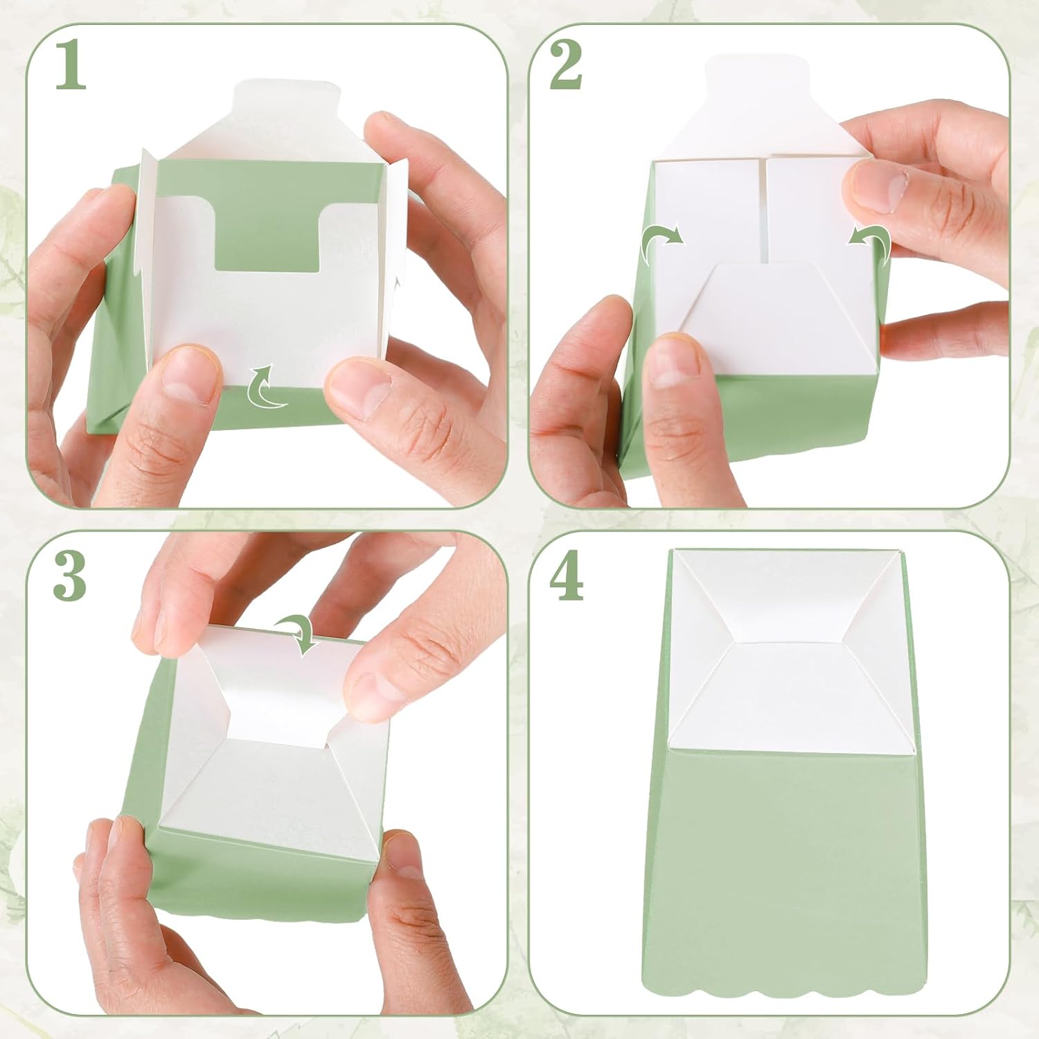 12 pcs  Sage Green Mini Popcor - Wedding Supply.Box 리뷰 및 가격