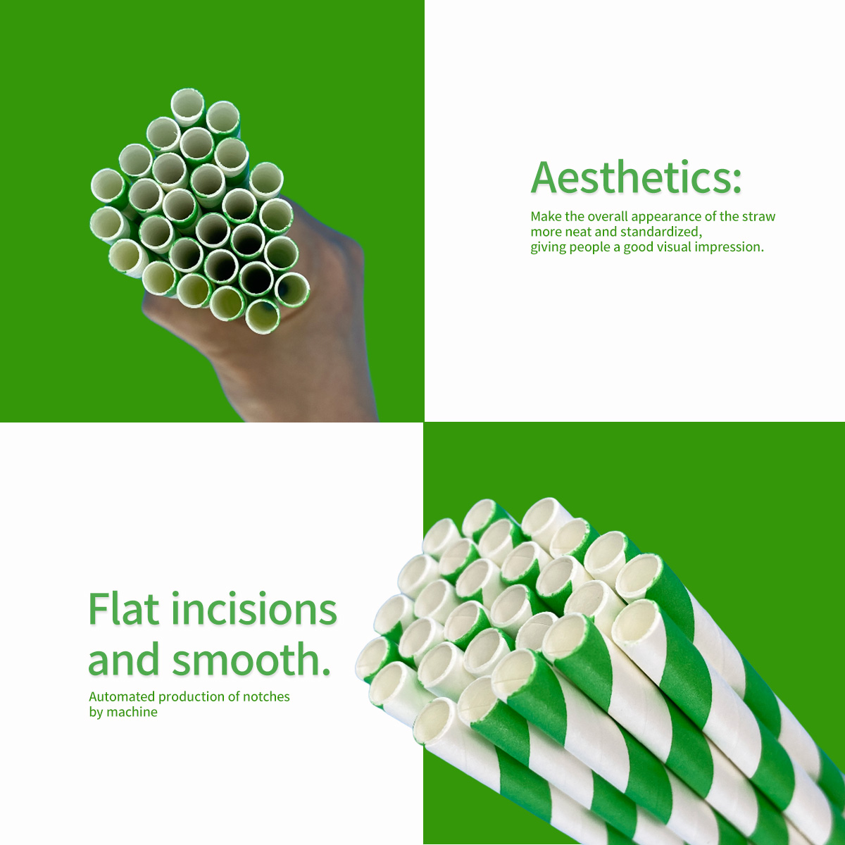 100 Pcs Biodegradable Green an - Wedding Supply Bulk 리뷰 및 가격